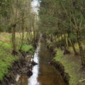 Naturalne sposoby pobudzania limfy w nogach