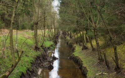 Naturalne sposoby pobudzania limfy w nogach